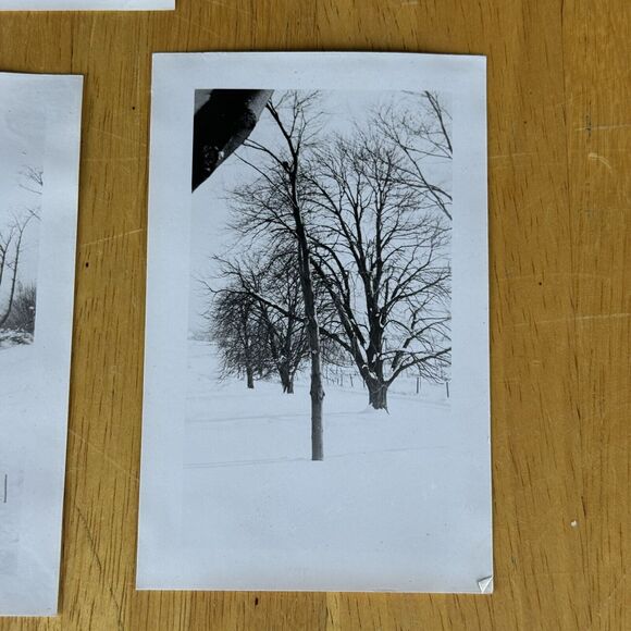1940 Photos x6 Winter Snow Storm Charter Oak Clubhouse Greenbrier Rd Gopher Film - Picture 5 of 9